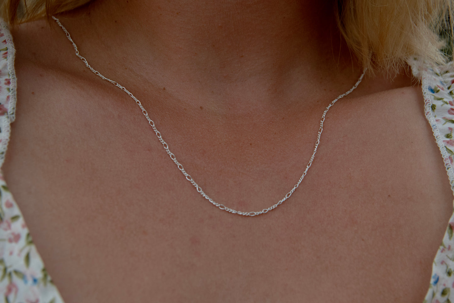 THE PRAIRIE CHAIN
